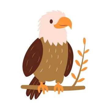 Cute Bald Eagle Hawk Falcon Bird Animal Perched on Tree Twig in the Jungle 스톡 일러스트