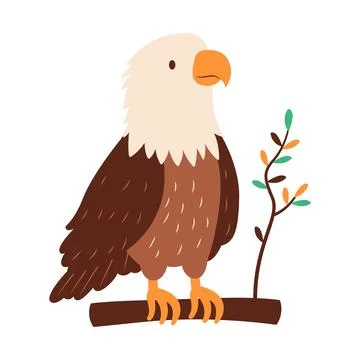 Cute Bald Eagle Hawk Falcon Bird Animal Perched on Tree Twig in the Jungle Stock Illustration