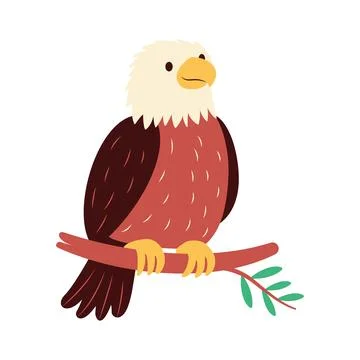Cute Bald Eagle Hawk Falcon Bird Animal Perched on Tree Twig in the Jungle 库存插图