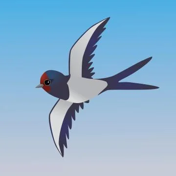 Cute barn swallow Illustrazione stock