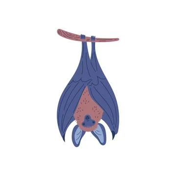 Cute bat sleeping upside down, cartoon flat vector illustration isolated on Stock Illustration
