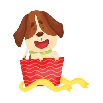 Cute beagle peeks out of a red box. Vector illustration on a white background. 스톡 일러스트
