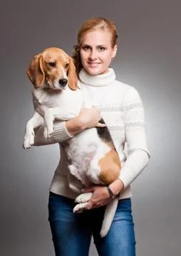 Cute beagle. Stock Photos