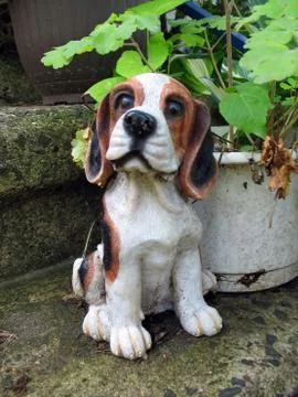Cute beagle Stock Photos