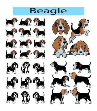 Cute Beagle vector illustration Illustration