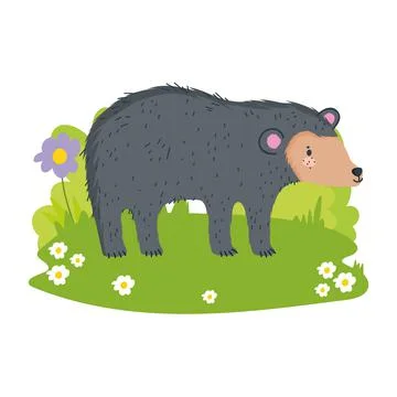 Cute bear cartoon Illustrazione stock