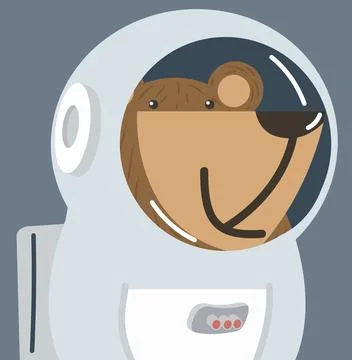 Cute bear doodle vector icon Stockillustratie