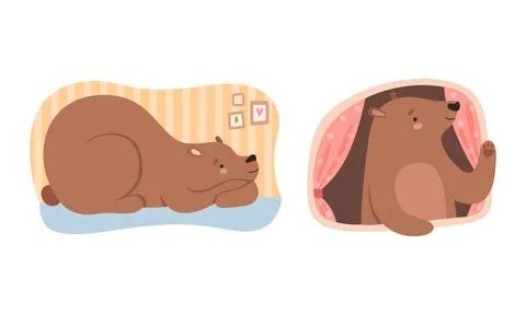 Cute Bear Sleeping and Looking Out of Window of His Cosy Burrow Vector Set Stock Illustration