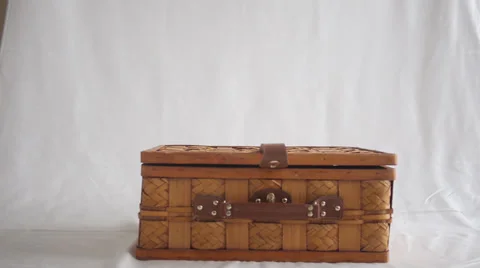 Cute beautiful Cat / Kitten Jumping out of a Suitcase 스톡 동영상 36546670