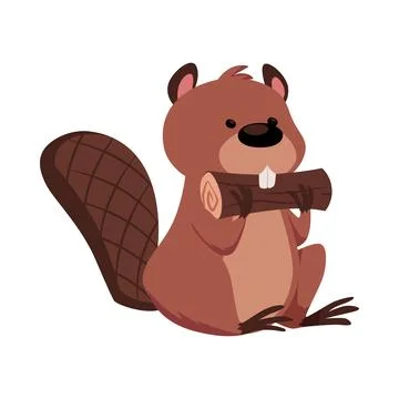 Cute beaver chewing wood vector flat illustration, cartoon wild animal holding Stock Illustration