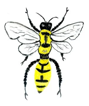 Cute bee art イラスト素材