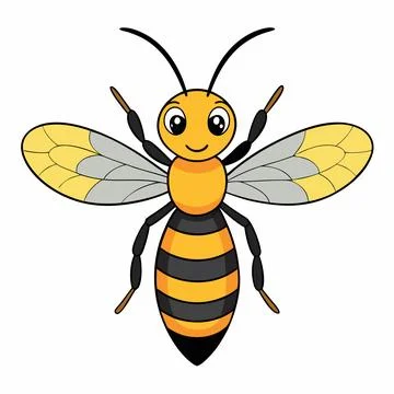 Cute bee isolated on white background. Flat cartoon vector illustration Stock Illustration