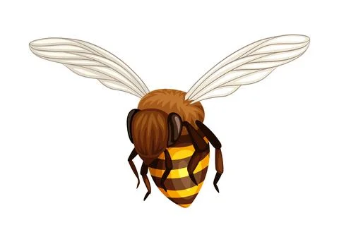 Cute bee vector sticker Stock Illustration