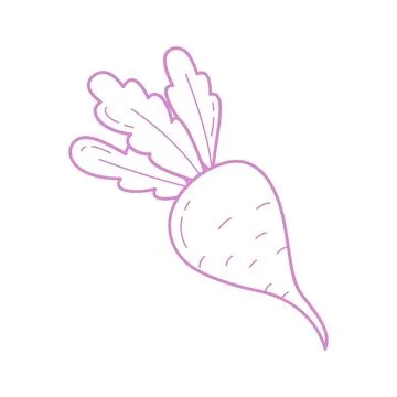 Cute Beetroot Hand Drawn Illustration in Minimal Doodle Style Illustrazione stock