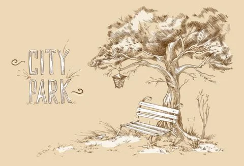 Cute bench under crown tree with lantern in park or garden a vector illustration Ilustración de archivo
