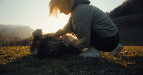 A cute big dog on its back letting a beautiful blonde girl cuddle it in the suns Stock Footage 129405411