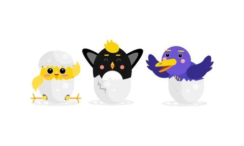 Cute Birds and Chicks Hatching from Egg Vector Set Stock Illustration