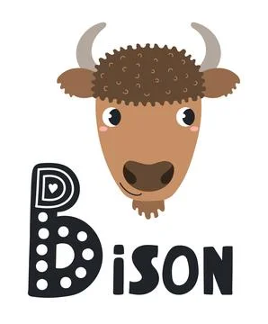 Cute bison face, letter B, text, illustration isolated Stock Illustration