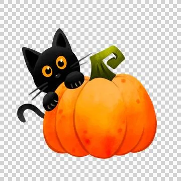 Cute black cat hiding behind a pumpkin. Watercolor illustration for Halloween. Stock Illustration