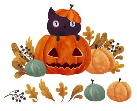 Cute black cat in pumpkin Stock Illustration