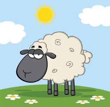 Cute Black Head Sheep On A Meadow Stock Illustration