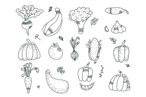 Cute black line doodle set vegetables, carrot, garlic, onion, pumpkin, zucchi Stock Illustration