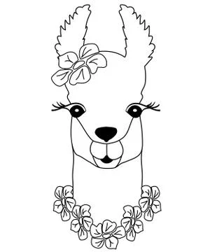 Cute black-white lama with flowers. Peruvian animal, llama for coloring, chil Stock Illustration
