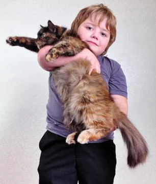 Cute blond boy with a cat Stock Photos