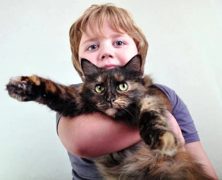 Cute blond boy with a cat Stock Photos