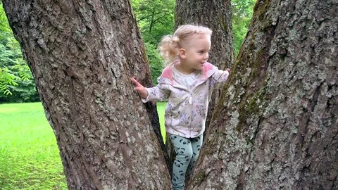 Cute blond girl playing between tree trunks in park Stock Footage