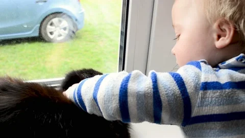 Cute blond hair boy of two years petting black cat, love to animals, video Stock Footage 187673535