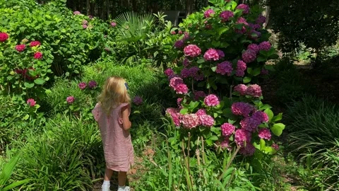 Cute blonde two, three years old baby girl walking in green garden in summer Stock Footage 245761834