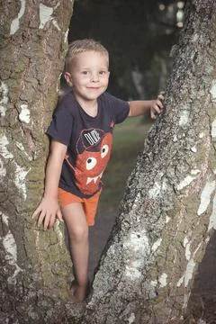 Cute blonde young boy posing between birch trees outdoor in summer park camp Stock Photos