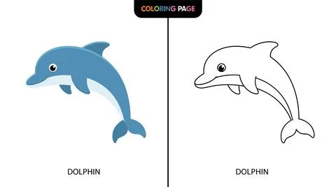 A cute blue dolphin illustration next to its outline for a coloring page. Sim Stock Illustration