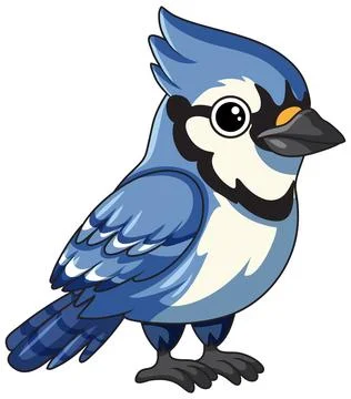 Cute Blue Jay Bird Vector Illustration Isolated on White Background Illustrazione stock
