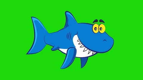 Cute blue shark swimming on green screen. Funny cartoon character  Stock Footage