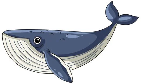 Cute Blue Whale Vector Illustration Isolated on White Background Stock Illustration