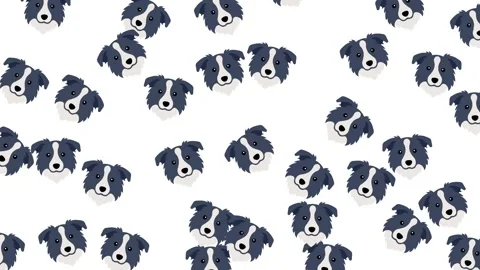 Cute Border Collie Dog Head Seamless Pattern on White Background Illustration Stock Footage 345539295