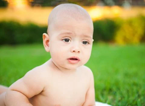 Cute boy on a background of nature Stock Photos