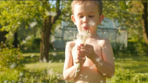 Cute boy blowing dundelion in front of camera, slow motion Stock Footage 89789628
