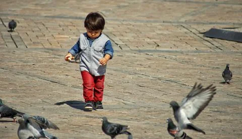 A cute boy chasing pigeons Foto stock