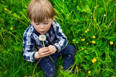 Cute boy with dandy lion Stock Photos