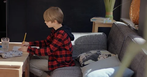 Cute boy diligently does his homework Stock Footage 128749499