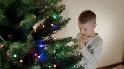 Cute boy eat gingerbread man near new year tree and hanging it back to the tree Vidéo 67704573