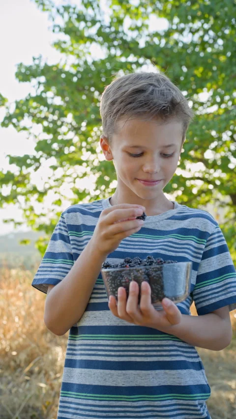 Cute boy eats blackberries from a glass bowl. Stock Footage 316829285