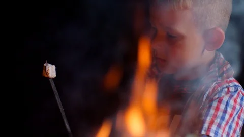 Cute boy eats marshmellow near the wood fire on picnic Stock Footage 92683266