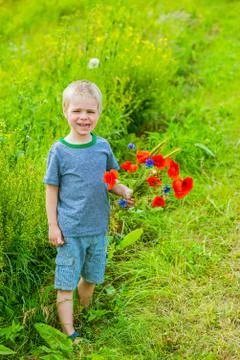 Cute boy in field 写真素材