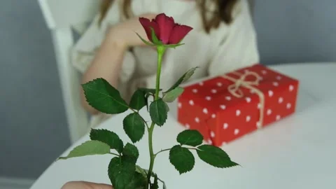 A cute boy gives a dark-haired pretty girl flowers, a red rose. Stock Footage 146789445