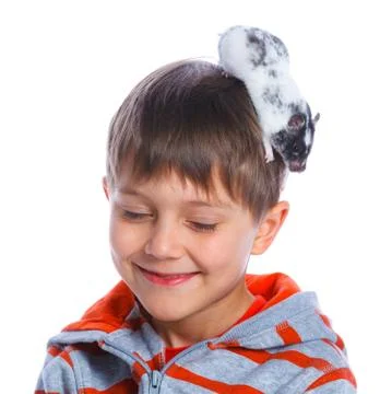 Cute boy with hamster Stock-Fotos