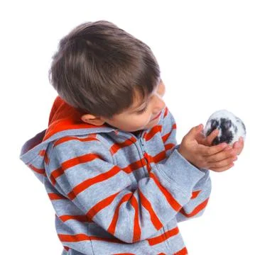 Cute boy with hamster Fotos Stock